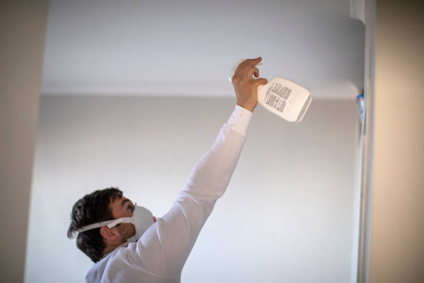 Best Mold Remediation for Specific Building Types in Paducah, KY