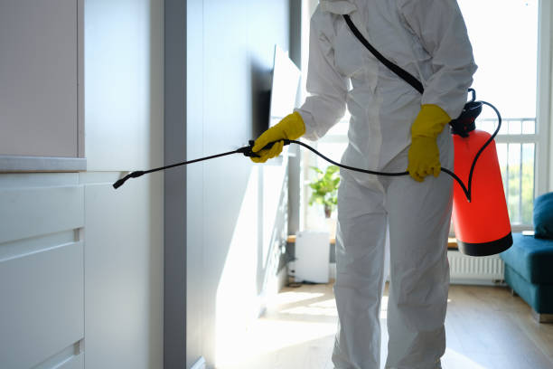 Best Residential Mold Remediation in Paducah, KY