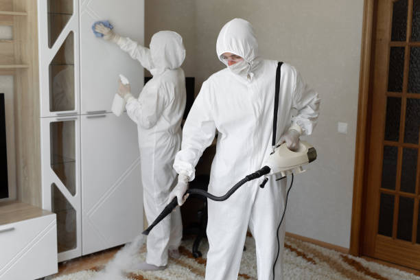 Professional Mold Remediation in Paducah, KY